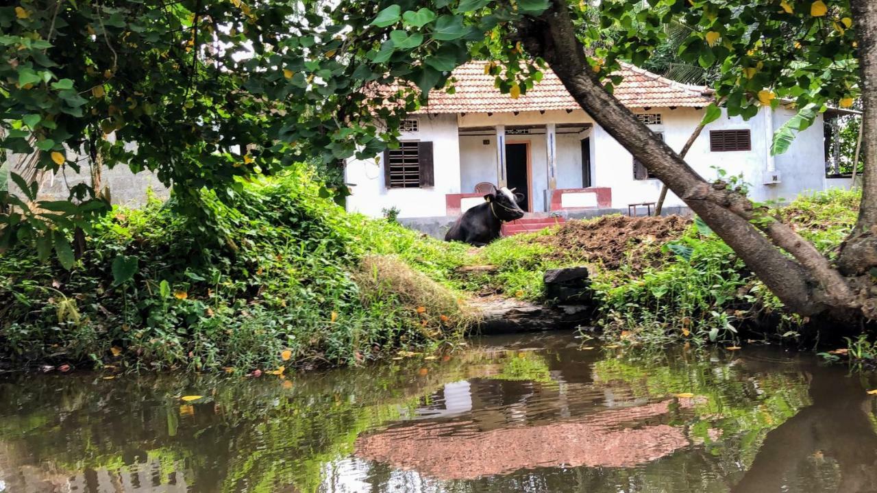 Ayana'S Homestay Alappuzha Buitenkant foto